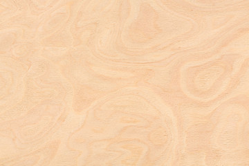 Ash burl design texture. Natural background closeup.