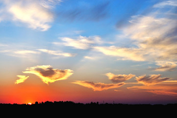 Summer sunset over the field.