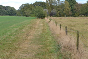 wandelpad door de weilanden van de Achterhoek bij Vorden