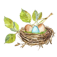 Hand drawn watercolor art bird nest with eggs , easter design. Isolated illustration on white background.