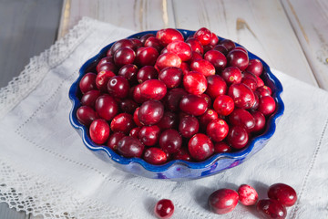 Fresh cranberries in a blue bowl. Ripe berries of Vaccinium macrocarpon, also large cranberry, American cranberry or bearberry.