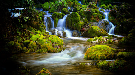 Fototapeta premium Mountain stream among the mossy stones