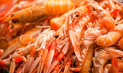 Small red lobsters close up on counter
