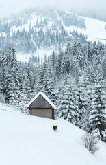 Winter Ukrainian Carpathian Mountains landscape.