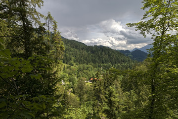 Fototapety na wymiar - Fototapeta24.pl