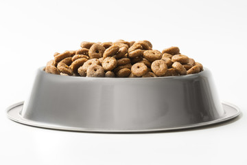 doggy bowl with meat isolated on white