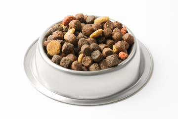 Pet food in silver bowl