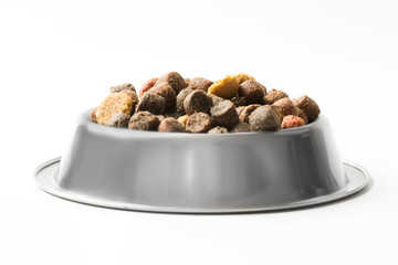 Pet food in silver bowl