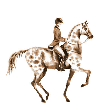 Watercolor sepia rider and horse on white. Horseman in jacket on stallion. England equestrian sport. Hand drawing illustration.