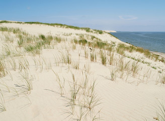 Fototapeta na wymiar Sandy dunes of Curonian Spit