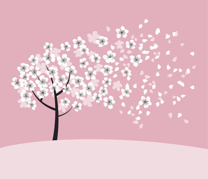 white sakura tree blossom on pink rosy background. elegant naive spring floral design element for invitation, card, poster, greetings, wedding.