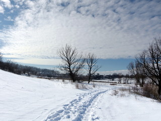 Winter landscape