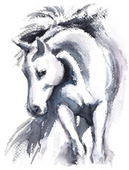 Watercolor White Horse in motion Hand Painted Illustration isolated on white background