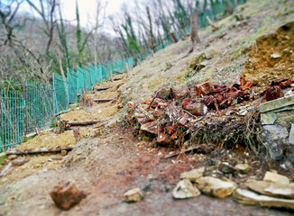 Work of environmental engineering on a steep terrain abandoned. 
