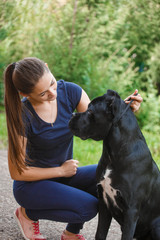 Handler with a dog Cane Corso Italian Mastiff