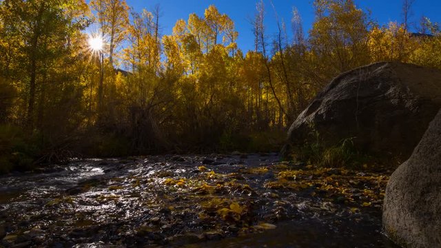 MoCo Timelapse of Fall Foliage by River at Sunrise in Eastern Sierra