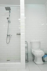 Naklejka na ściany i meble Interior of a shower room aligned with toilet