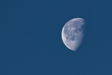 The Moon in a Waning Gibbous Phase in dark blue sky in early morning, showing detailed craters