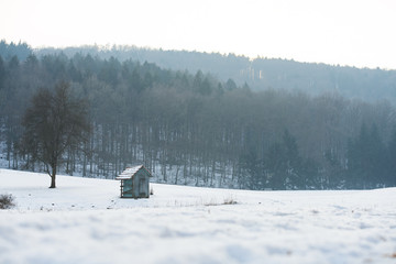 wooden cabin in the field with snow in winter, white