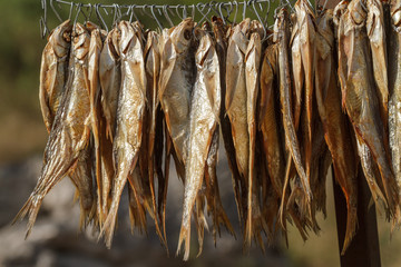 dried fish on a rope
