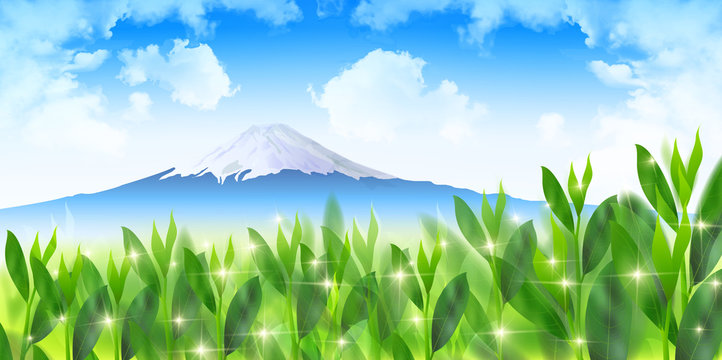 お茶　緑　富士山　背景