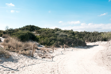 Mallorca Dunes
