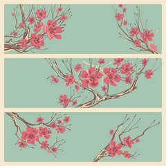 Vintage Horizontal Banners in Japanese Style with Decoration of Flowering Sakura Branches 