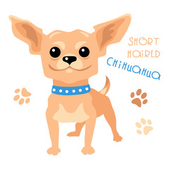 Fototapeta na wymiar Cute funny dog tan shorthaired deer head Chihuahua breed vector