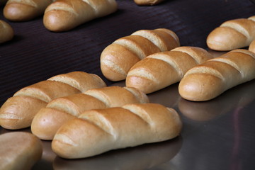 Fresh fragrant bread on the table. Food concept
