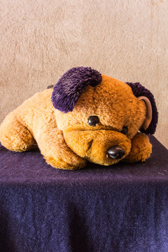 Still life Cute dog brown doll