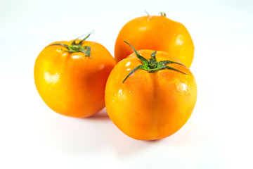 orange tomato