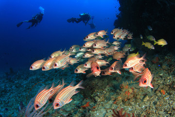 Scuba dive fish on underwater ocean coral reef