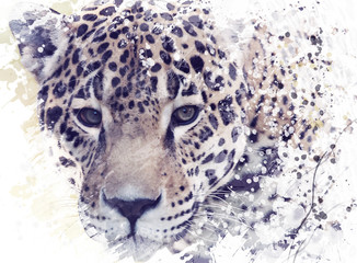 Fototapeta na wymiar Leopard Portrait Watercolor