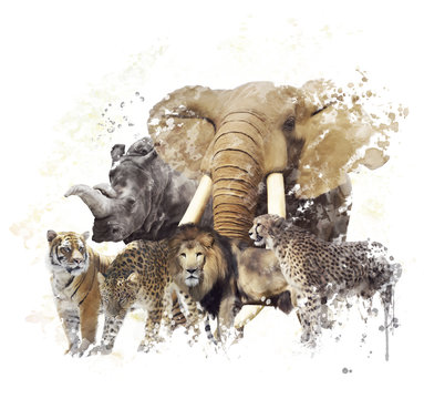 Wild Animals Watercolor