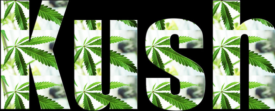 Marijuana Logo High Quality 