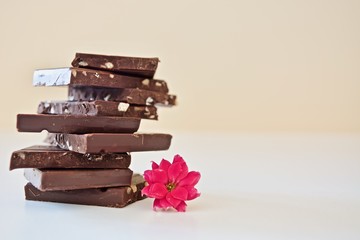 Pieces of dark chocolate with pink flower on the white table