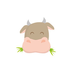 Cow farm animal icon vector illustration graphic design