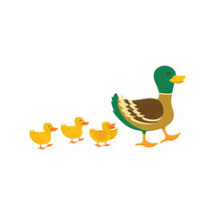 duck farm animal icon vector illustration graphic design