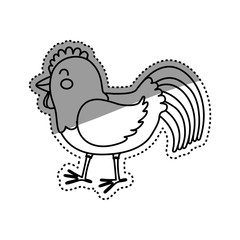 chicken farm animal icon vector illustration graphic design