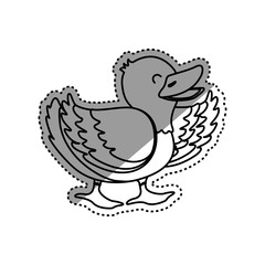 duck farm animal icon vector illustration graphic design