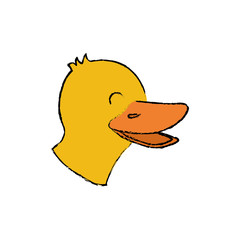duck farm animal icon vector illustration graphic design