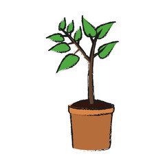 plant in a pot over white background. colorful design. vector illustration