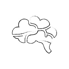 Human brain symbol icon vector illustration graphic design