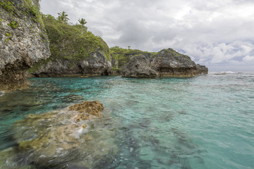 Fototapeta na wymiar Limu Pools, Niue