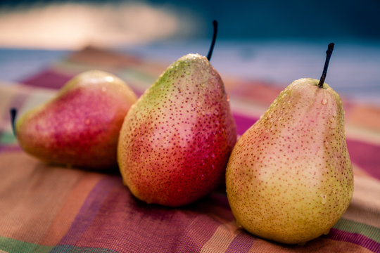Three organic ripe pears