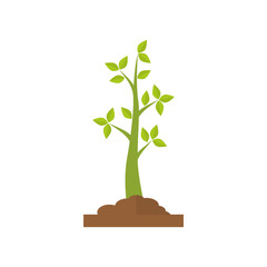 Nature plant ecology icon vector illustration graphic design