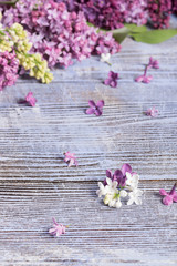 Lilac on Painted Wooden Background