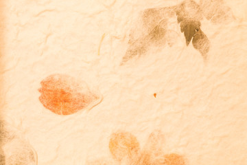 Mulberry paper with dry flower and leaf texture background in vintage tone