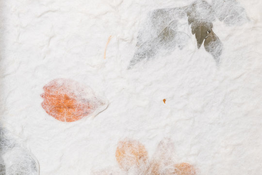 Mulberry paper with flower and leaf texture background