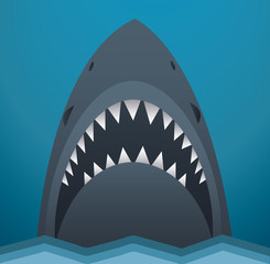 Fototapeta premium Shark vector illustration 